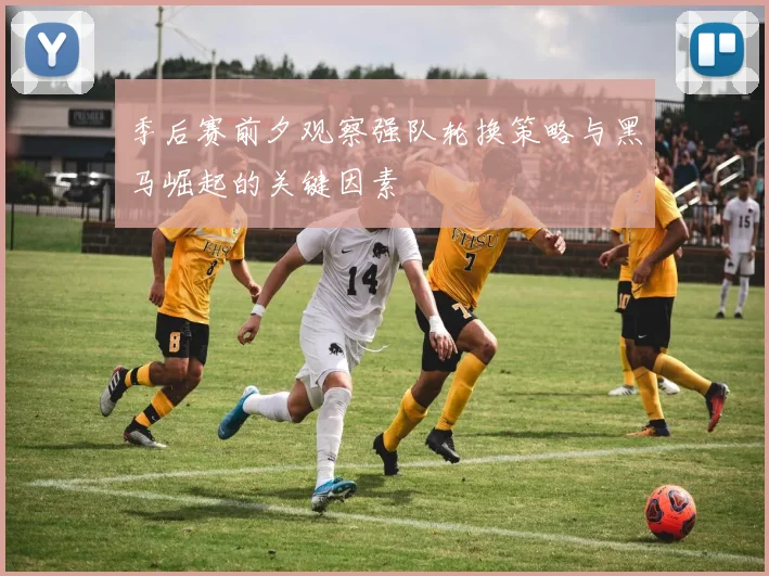 季后赛前夕观察强队轮换策略与黑马崛起的关键因素