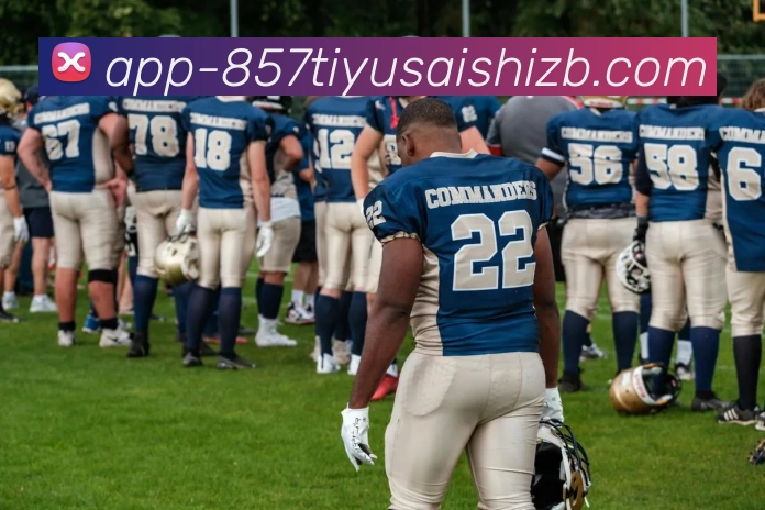 多媒体互动体验